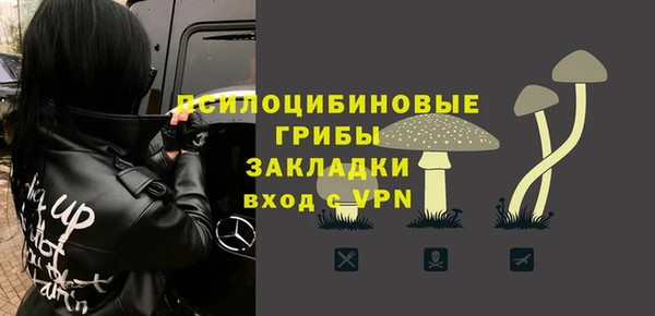 крисы Бугульма